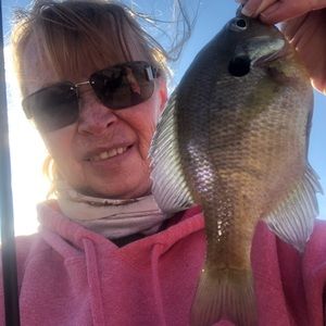 Meet your Posher, Eva